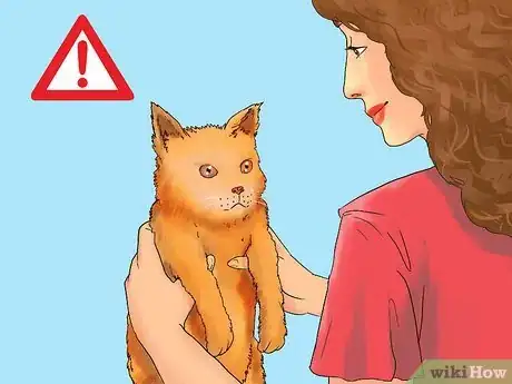 Image titled Take Care of Your Aging Cat Step 10