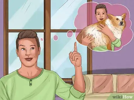 Image titled Rescue a Corgi Step 1