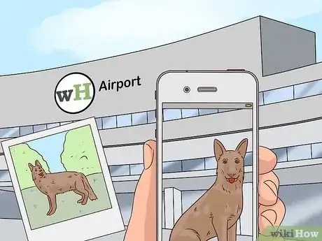 Image titled Fly with Pets Step 9