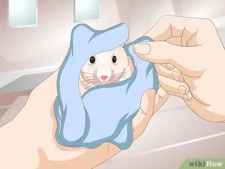 Image titled Clean a Long Haired Hamster Step 8