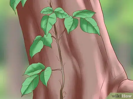 Image titled Dry Up Poison Ivy Rash Step 11