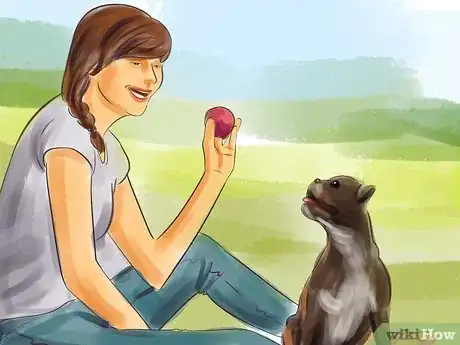 Image titled Take Care of a Pet Step 9