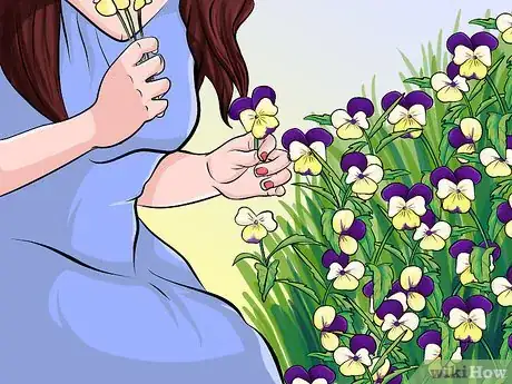 Image titled Eat Heartsease Step 1