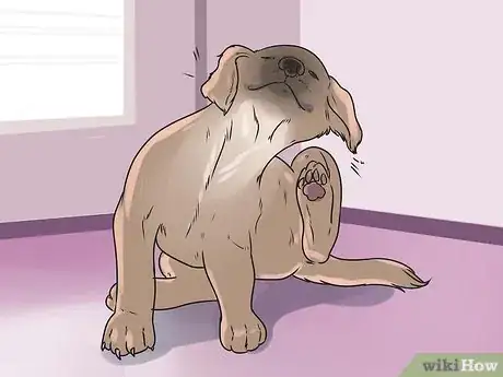 Image titled Check a Dog for a Fever Step 9