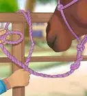 Tie up a Horse
