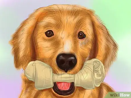 Image titled Select Safe Dog Toys Step 5