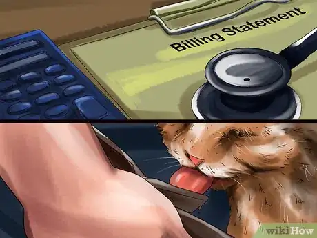 Image titled Responsibly Give a Cat As a Gift Step 9