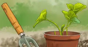 Increase Your Skills with Hobbies