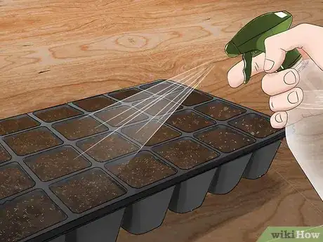 Image titled Grow Jalapenos in a Pot Step 14