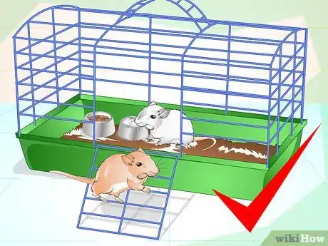 Image titled Tame Your Gerbils Step 4