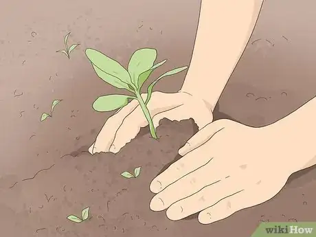 Image titled Go Carbon Neutral Step 16