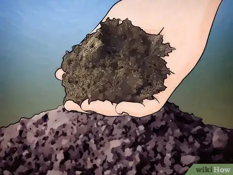 Image titled Choose Plant Soil Step 2