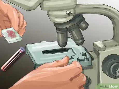 Image titled Treat Rickets Step 10