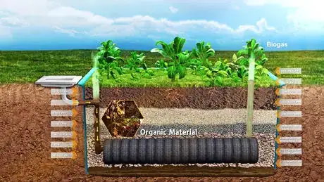 Image titled Evapo_Plantation FF **