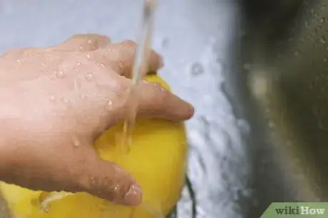 Image titled Make a Simple Melon Starter Step 4