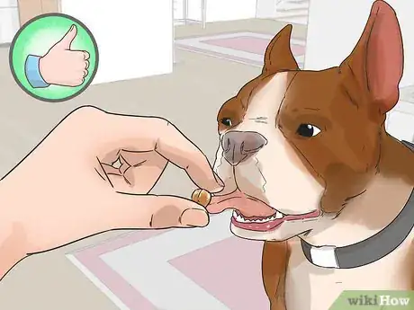 Image titled Fire Drill Train Your Dog Step 4