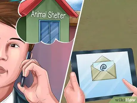 Image titled Adopt a Sporting Dog Step 2