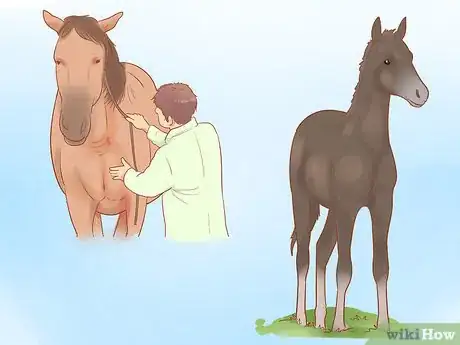 Image titled Wean a Foal Step 5