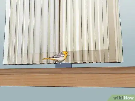 Image titled Look After Pet Birds Step 8