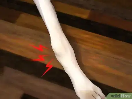 Image titled Identify Canine Tick Problems Step 2