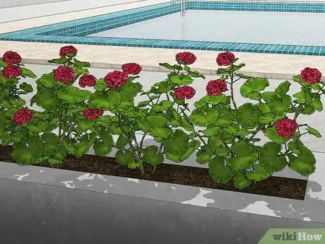 Image titled Keep Bees Away from Your Pool Step 10