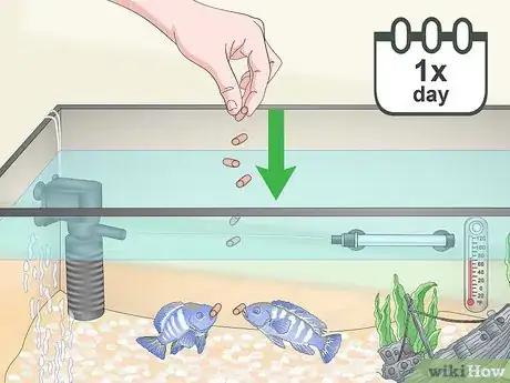 Image titled Build a Freshwater Predator Fish Aquarium Step 15