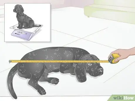 Image titled Choose a Dog Bed for a Senior Dog Step 2