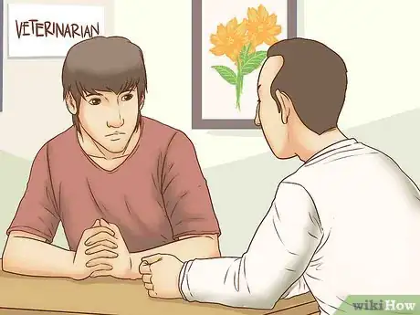 Image titled Adopt a Senior Dog Step 9