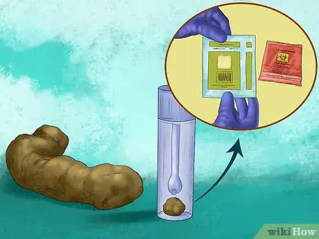 Image titled Prepare for Your Dog's Annual Vet Exam Step 7