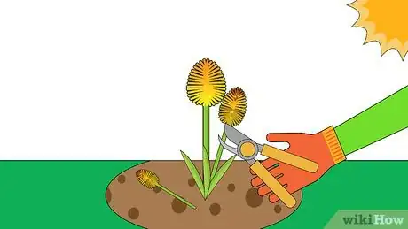 Image titled Plant Tritoma Step 13