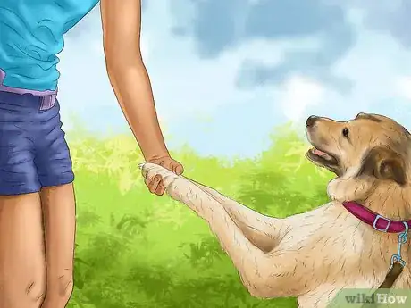 Image titled Keep Your Dog Safe on a Boat Ride Step 1