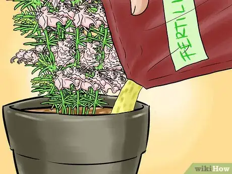 Image titled Grow Herbs Indoors Under Lights Step 11