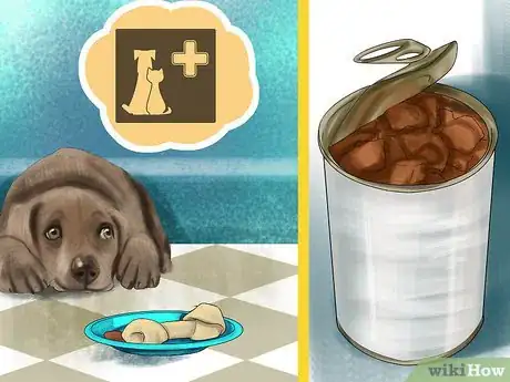 Image titled Feed Your Senior Dog a Healthy Diet Step 3