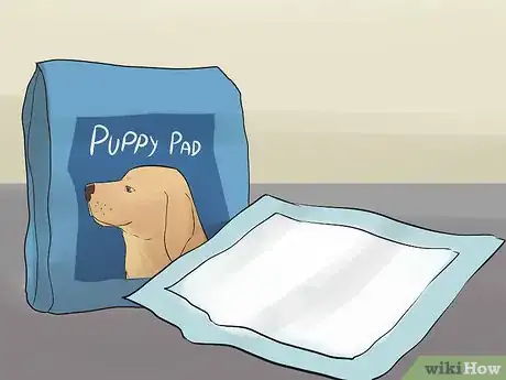 Image titled Introduce Your Guinea Pig to Floor Time Step 7