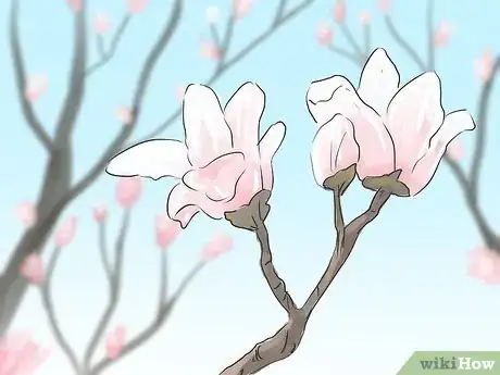 Image titled Prune a Magnolia Tree Step 2