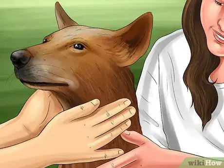 Image titled Adopt a Non‐Sporting Breed Step 9