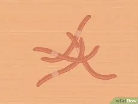 Image titled Catch Channel Catfish Step 5