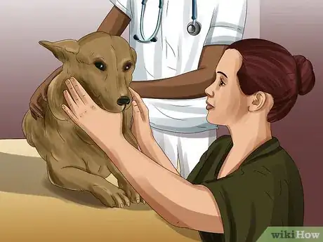 Image titled Tell if Your Dog Is Having a Medical Emergency Step 21