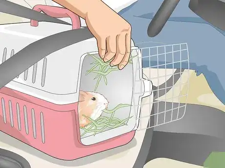 Image titled Transport a Guinea Pig Step 8