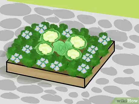 Image titled Design a Potager Garden Step 14