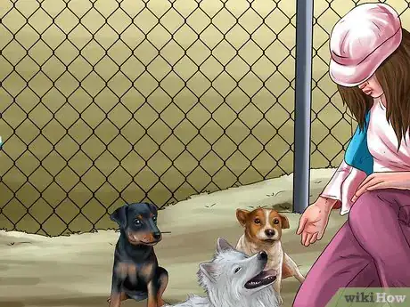Image titled Help Shelter Dogs Step 6