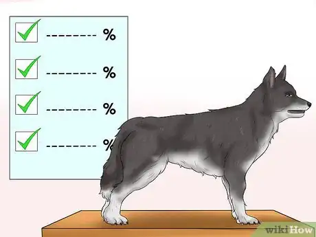 Image titled Become a Dog Show Judge Step 1
