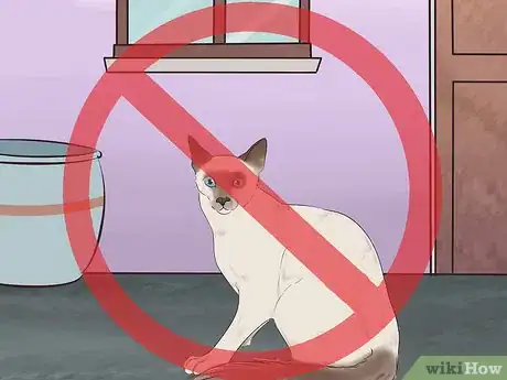 Image titled Introduce Your Guinea Pig to Floor Time Step 6