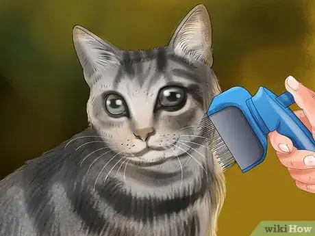 Image titled Take Care of a Li Hua Cat Step 1