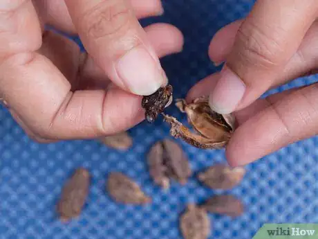 Image titled Make Carrot Halwa Step 15