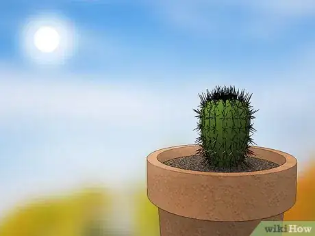 Image titled Care for a Cactus Step 10