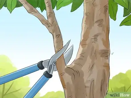 Image titled Prune a Magnolia Tree Step 9