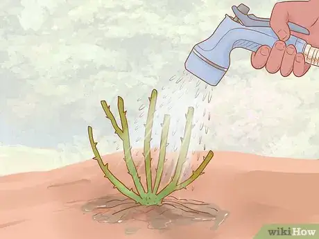 Image titled Grow Roses Organically Step 2