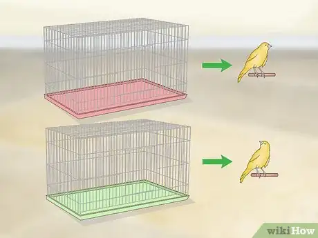 Image titled House a Canary Step 5