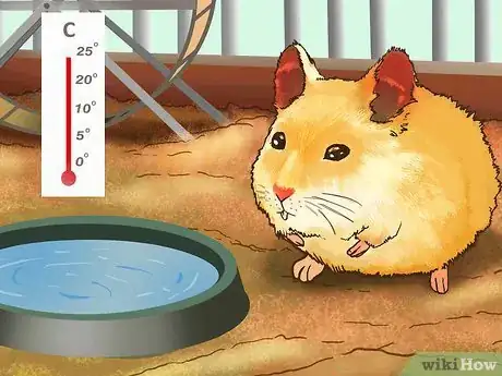 Image titled Be a Good Hamster Owner (for Kids) Step 6